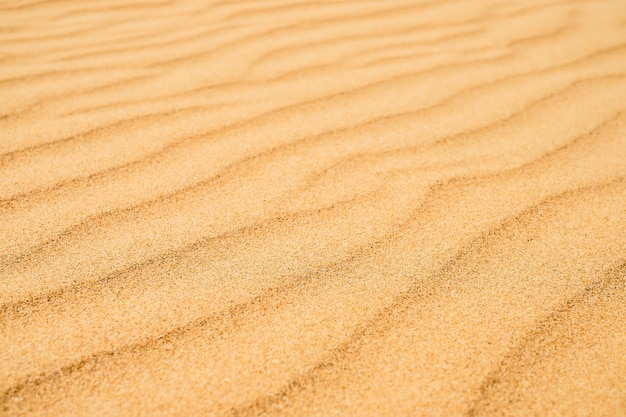 Texture sabbiosa sulla spiaggia, costa del Mar Nero. Vista dall'alto delle dune di sabbia della spiaggia astratte per lo sfondo dell'insegna estiva.