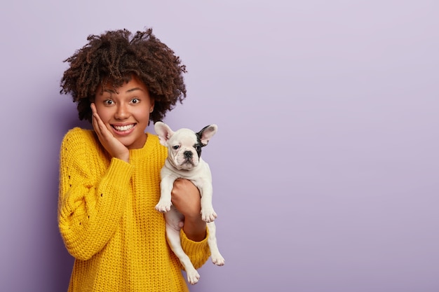 Tiro al coperto di felice giovane femmina ha un taglio di capelli afro, riceve buone notizie dal veterinario sulla salute degli animali domestici, tiene il cucciolo di bulldog francese con mantello liscio, orecchio nero, posa insieme sul muro viola. Razza domestica