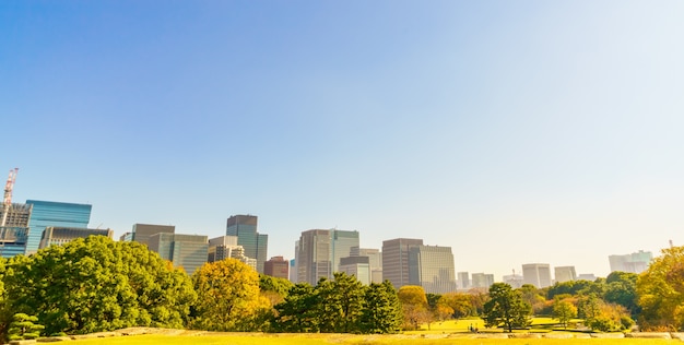 Tokyo, Giappone paesaggio urbano