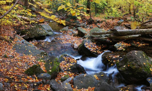 Torrente d'autunno