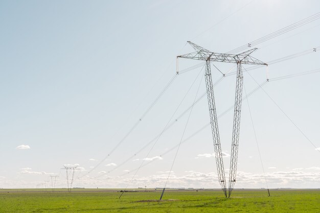 Torri di elettricità in fila nel mezzo di un campo agricolo con cielo sereno