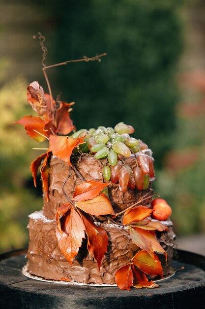 Torta al cioccolato. Torta decorata con foglie d&#39;autunno. Torta su un barile di legno.