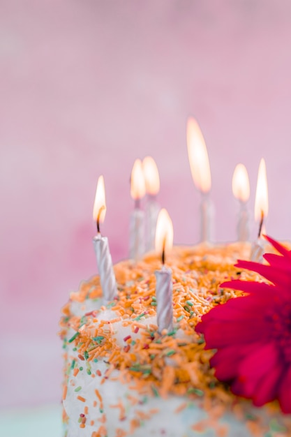 Torta di compleanno davanti alla priorità bassa dell&#39;acquerello