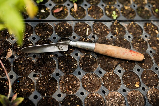 Tovagliolo del giardino con le piantine in serra