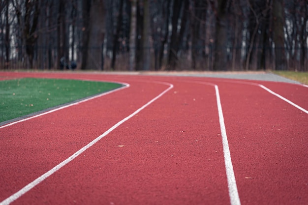 Trama del primo piano di una pista da corsa in uno stadio