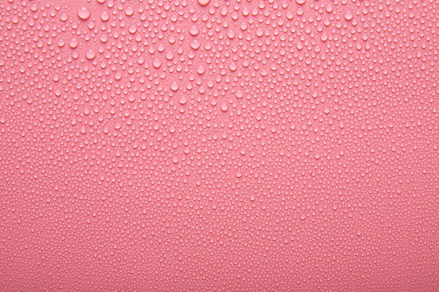 Trama dell'acqua vista dall'alto su rosa