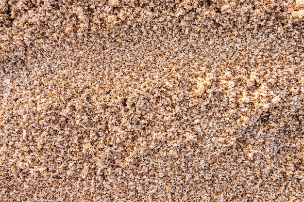 Trama di sabbia della spiaggia