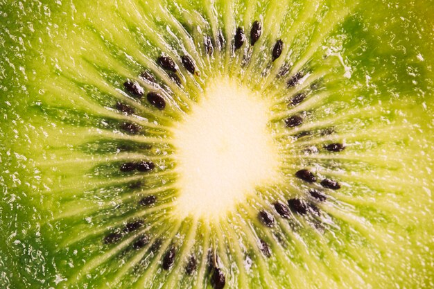 Trama macro kiwi