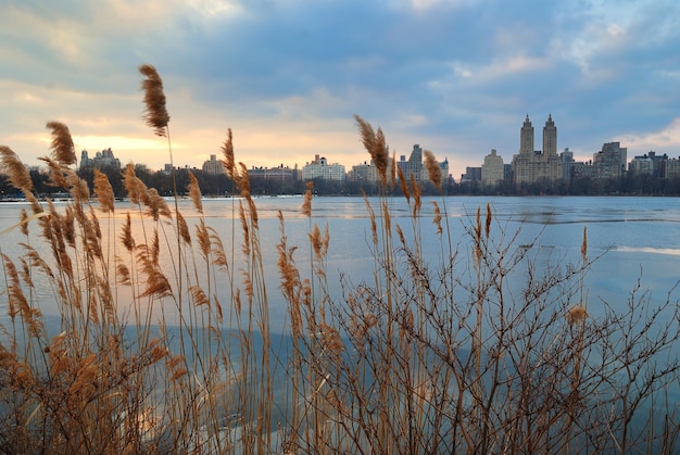 Tramonto di Central Park a New York City