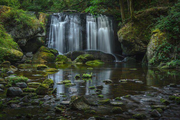 Tranquillo splendido scenario di Whatcom Falls nello Stato di Washington