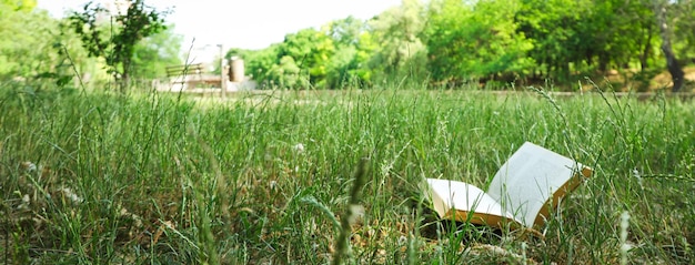 Trascorrere del tempo nella natura accessori da picnic per picnic