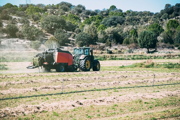 Trattore nel mezzo di un campo di coltivazione