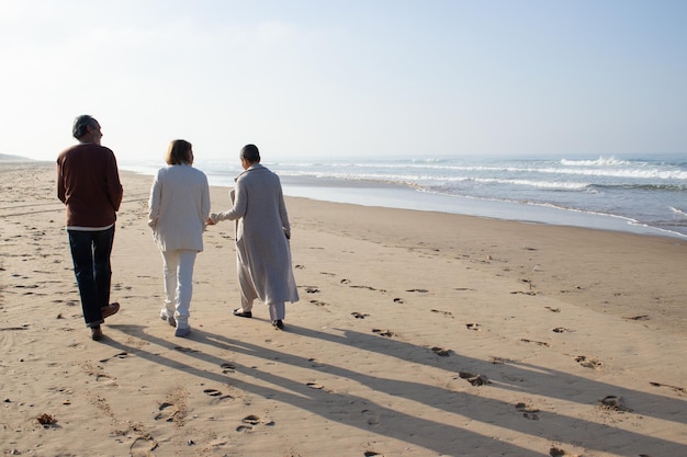 Tre amici anziani che si godono la luminosa giornata autunnale mentre camminano da soli in riva al mare, lasciando le orme sulla sabbia bagnata. Uomo e due donne che parlano e si divertono insieme. Amicizia, concetto di svago