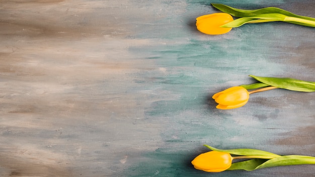 Tre fiori di tulipano sul tavolo grigio