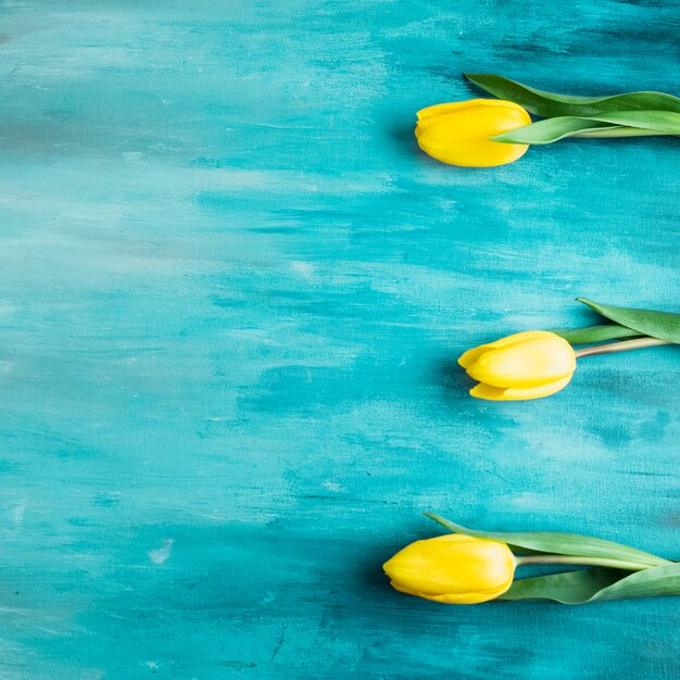Tre fiori di tulipano sul tavolo