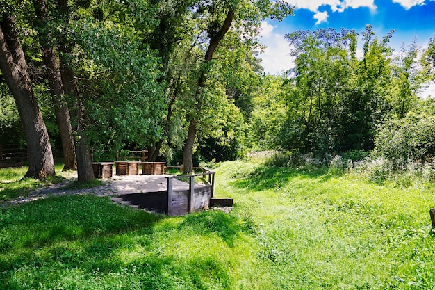 Tre pozzi ai margini della foresta. Bel paesaggio