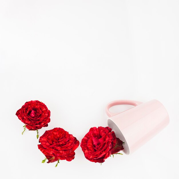 Tre rose rosse che cadono dalla tazza rosa su fondo bianco