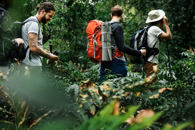 Trekking in una foresta