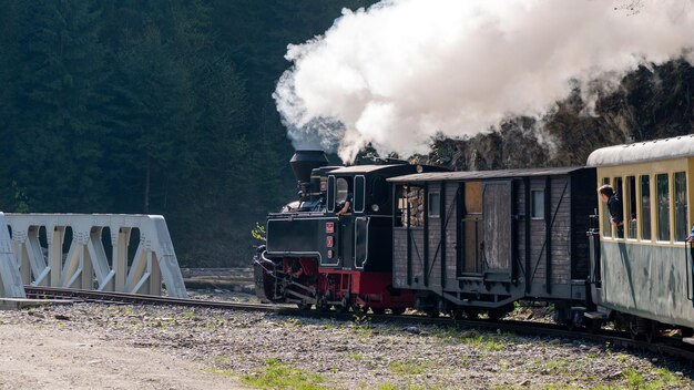 Treno a vapore in movimento Mocanita con passeggeri in Romania