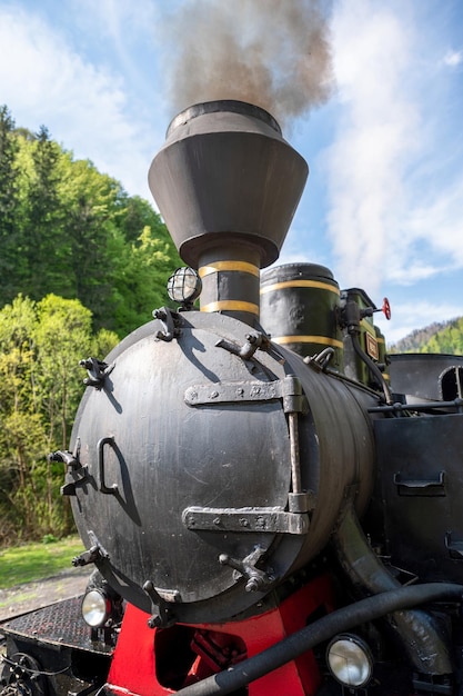 Treno a vapore Mocanita su una stazione ferroviaria Romania