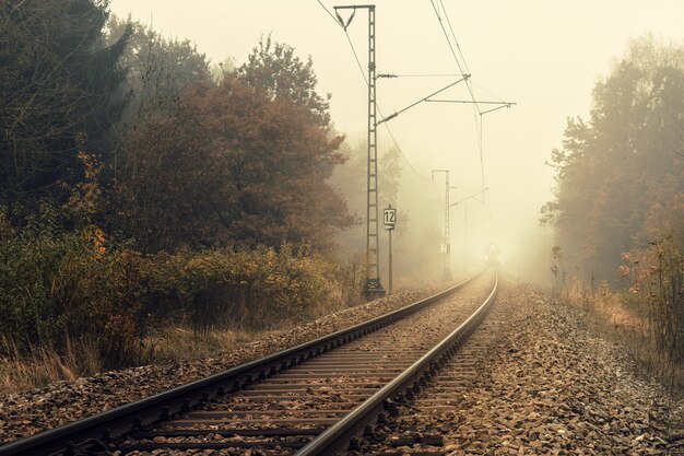 Treno ferroviario tra alberi verdi durante il giorno