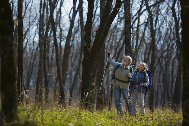 Trova un motivo per esserlo. Coppia di famiglia invecchiato dell'uomo e della donna in abito turistico che cammina al prato verde vicino agli alberi in una giornata di sole. Concetto di turismo, stile di vita sano, relax e solidarietà.