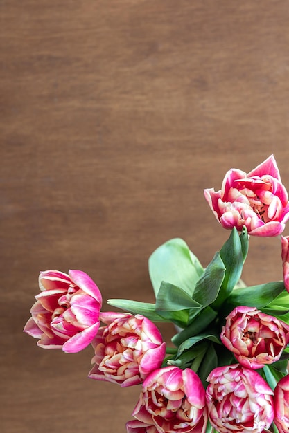 Tulipi rosa freschi su una tavola di legno