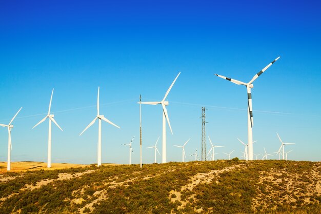 Turbine eoliche a terreni agricoli in estate