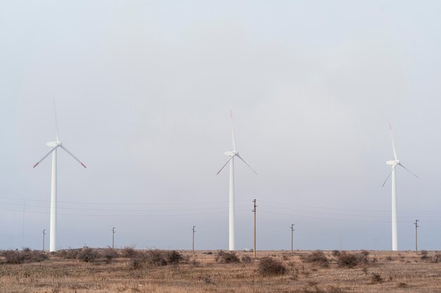 Turbine eoliche nel campo che generano energia