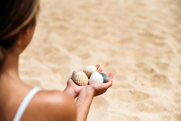 Turista femminile con conchiglie in riva al mare