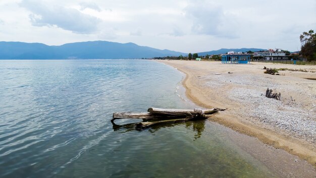 Un albero morto tronco su una spiaggia, costa del Mar Egeo, edifici e colline, Asprovalta, Grecia