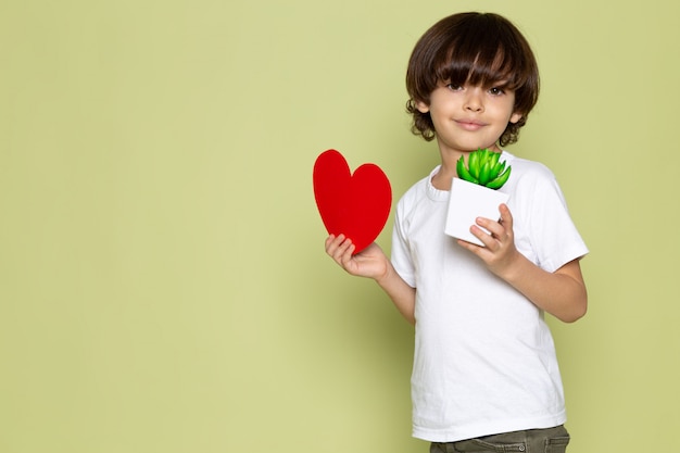 Un bambino sorridente di vista frontale in maglietta bianca che tiene forma del cuore e piccola pianta verde sullo spazio colorato pietra