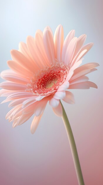 Un bellissimo fiore in natura