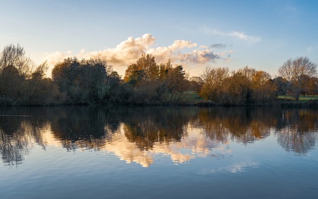 Un bellissimo scatto di alberi che si riflettono sull'acqua