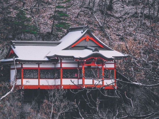 Un bellissimo scatto di una casa in stile giapponese in montagna