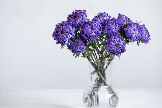 Un bouquet di crisantemi blu in un vaso di vetro su uno sfondo bianco, copia dello spazio.