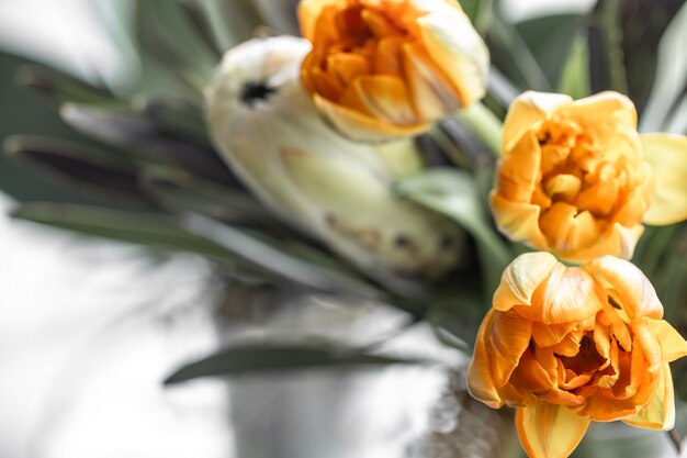 Un bouquet di fiori esotici di protea reale e tulipani luminosi. Piante tropicali nella composizione floristica.