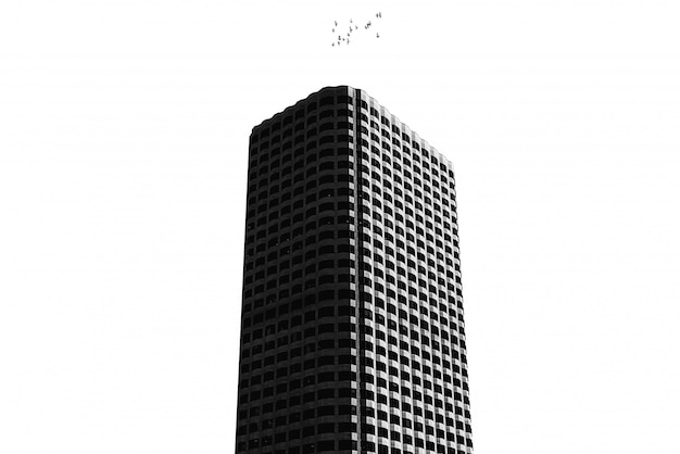 Un edificio alto con bianco puro isolato