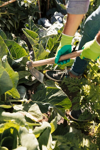 Un giardiniere che lavora nell&#39;orto con la zappa