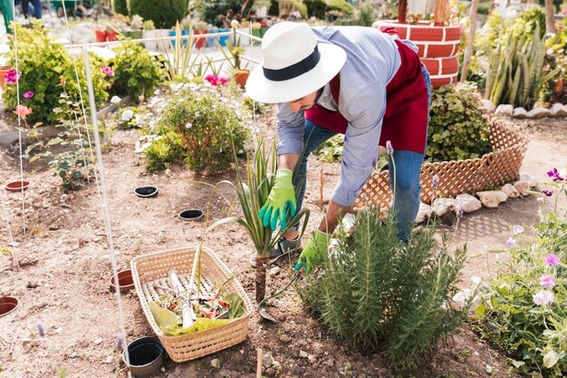 Un giardiniere maschio che pianta le piante con la zappa nel giardino