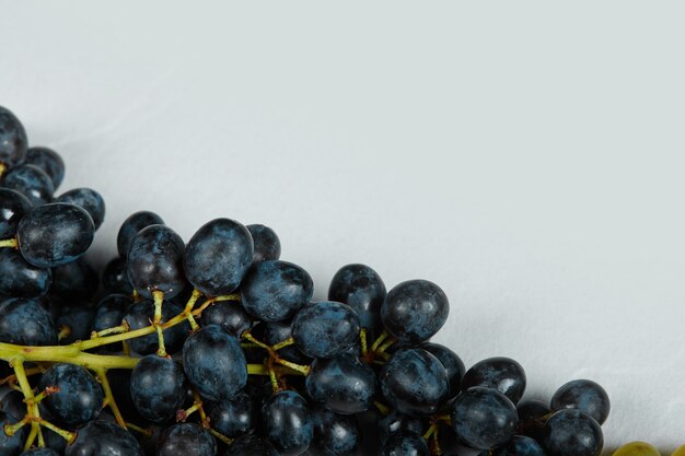 Un grappolo d'uva rossa sullo spazio blu.