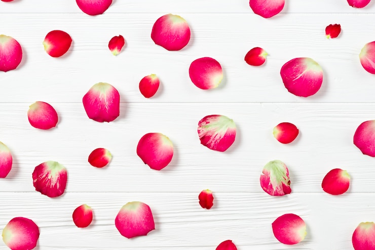 Foto gratuito un grappolo di petali di fiore