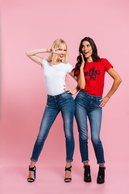 Un'immagine integrale di due donne di bellezza che posano nello studio e che esaminano la macchina fotografica sopra il rosa