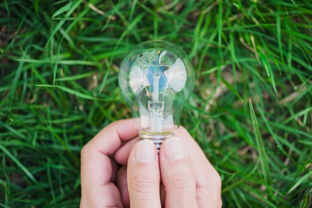 Un primo piano di due mani che tengono lampadina contro l&#39;erba verde