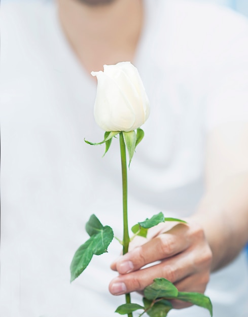 Un uomo sta dando una rosa bianca