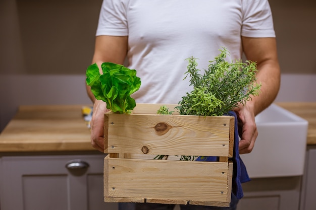 Un uomo tiene una scatola di legno con vegetazione, senza volto