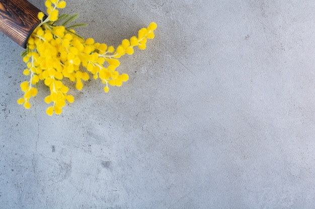 Un vaso di legno pieno di fiori freschi di mimosa su sfondo grigio.