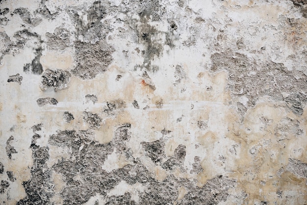 Un vecchio muro rustico sbucciato dipinto