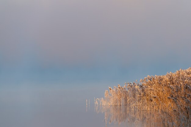 Una bella mattina all'alba, all'alba, la nebbia turbina intorno al primo paesaggio invernale.
