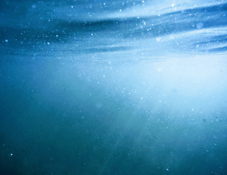 Foto gratuito una bella ripresa fatta sott'acqua con la luce solare che splende attraverso la superficie